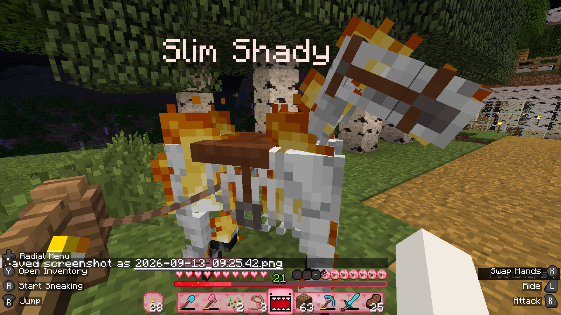 Minecraft screenshot: a skeleton horse named Slim Shady