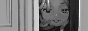 banner: yuinoid